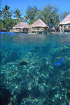 Hotel Bora Bora 